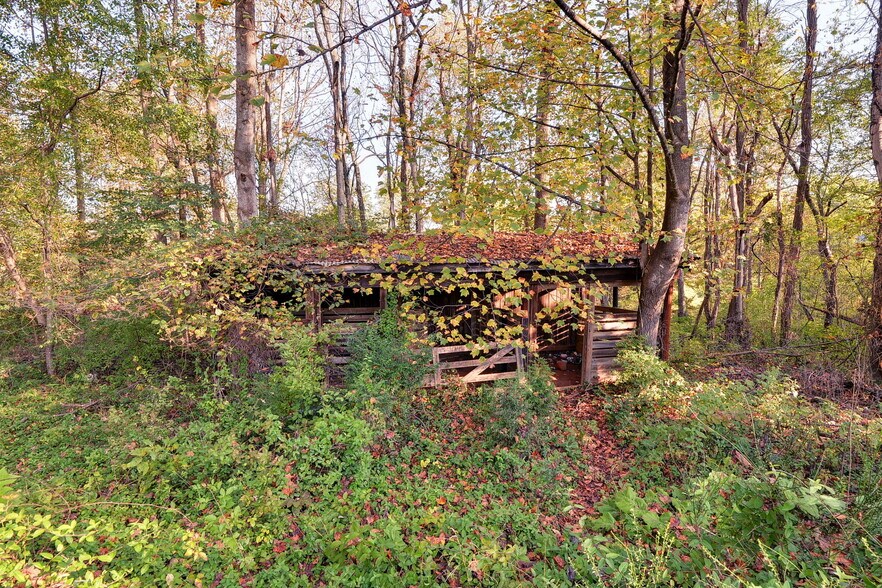 More Photos Of 16380 Forest Rd, Forest Land For Sale