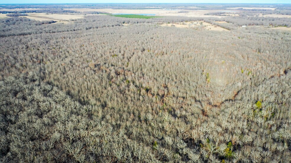 More Photos Of 1200 County 1255 rd, Detroit Land For Sale