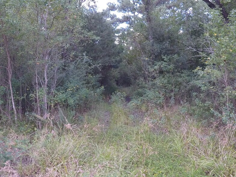 More Photos Of 7886 Fm 1960 Rd, Dayton Land For Sale