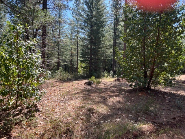 More Photos Of 10715 Brunswick Rd, Grass Valley Land For Sale