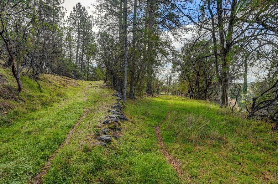 More Photos Of 22517 Parrotts Ferry Rd, Columbia Land For Sale