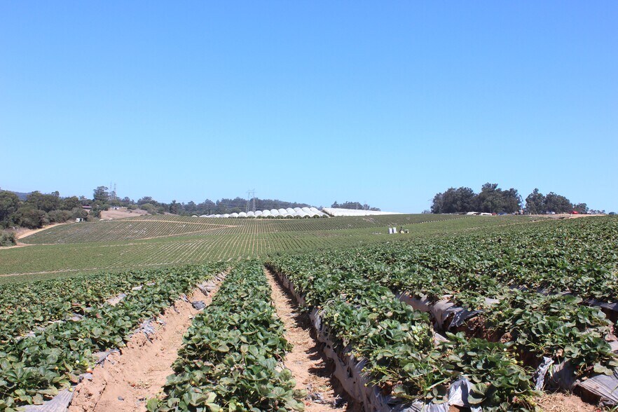 More Photos Of 16475 Blackie Rd, Salinas Land For Sale