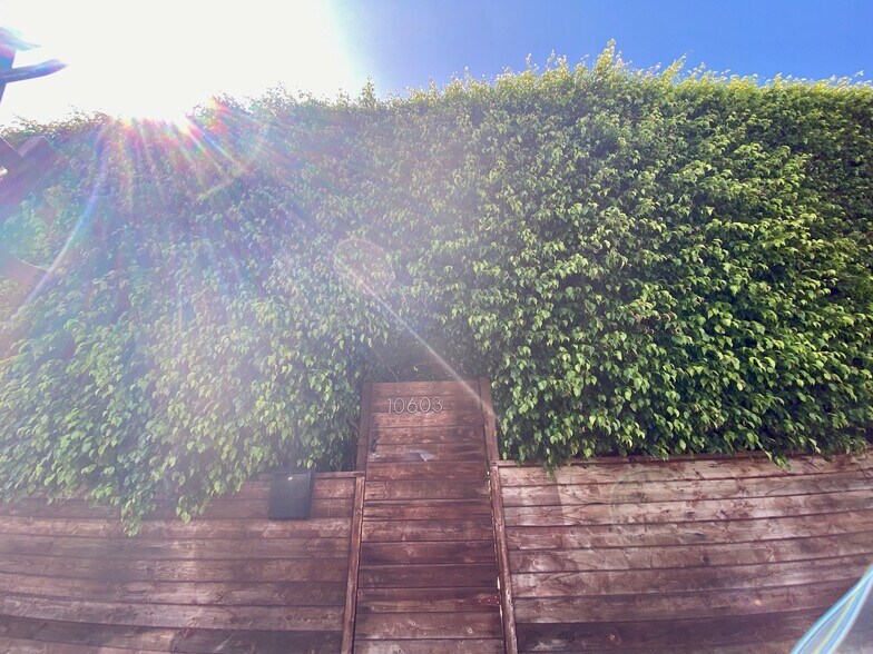 More Photos Of 10603-10609 Palms Blvd, Los Angeles Apartments For Sale