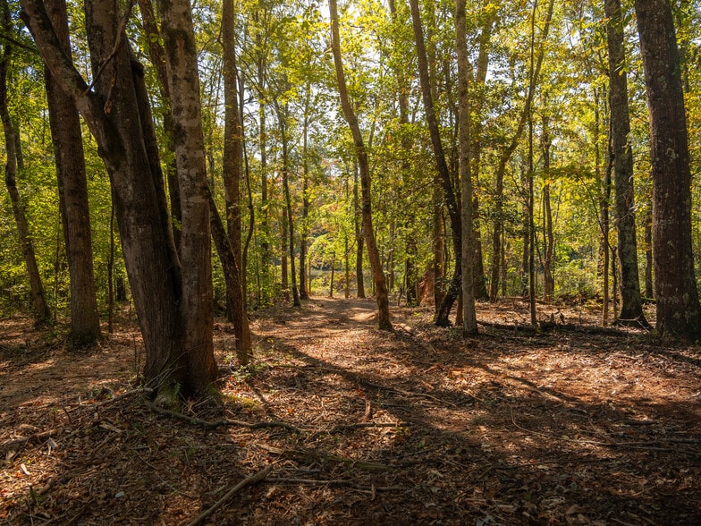 More Photos Of 00 Nash Mill Extension rd, Fountain Inn Land For Sale
