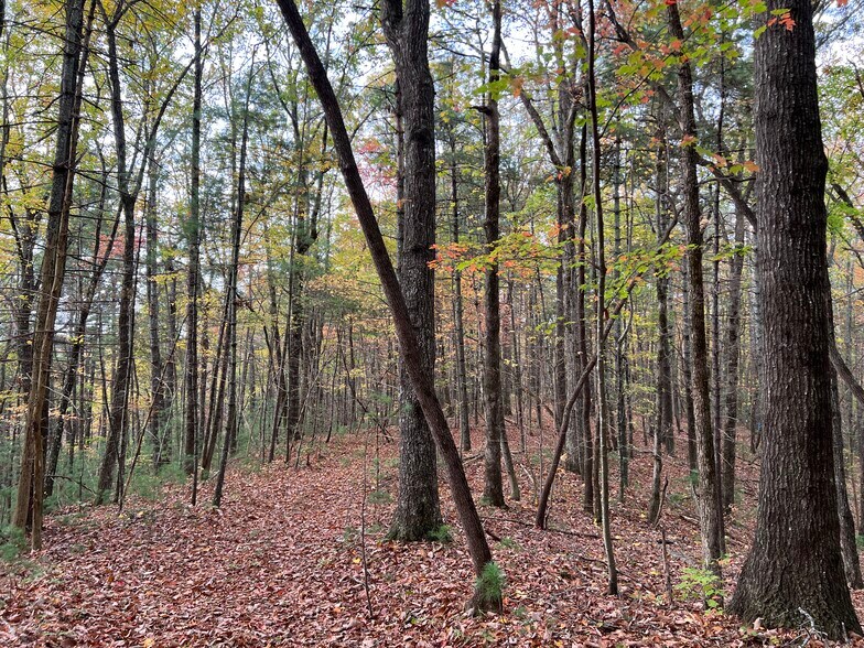 More Photos Of Whitecliff Drive, Ellijay Land For Sale