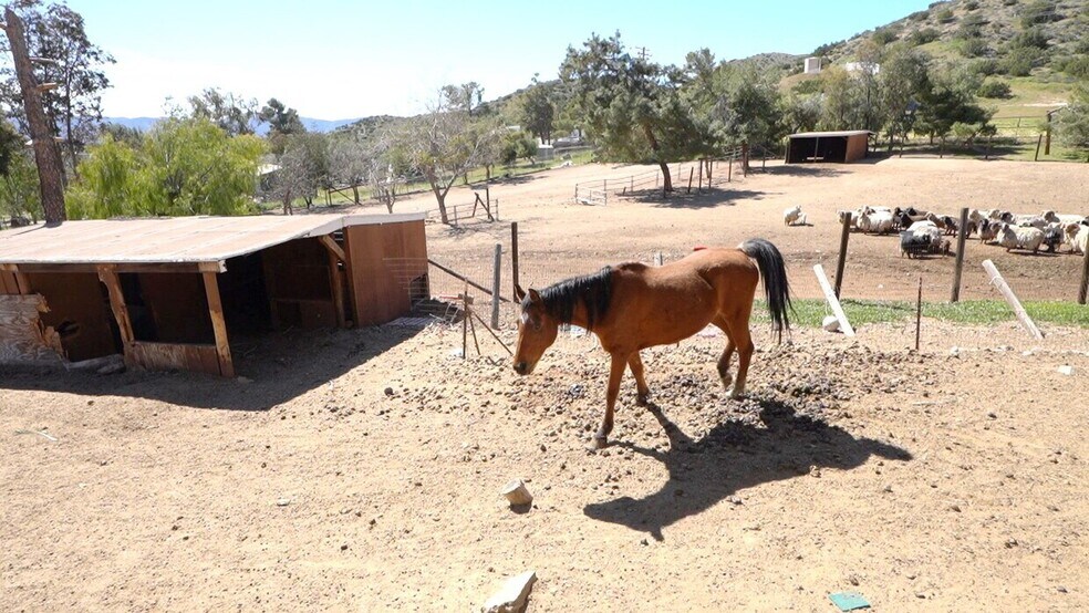 More Photos Of 33716 Hubbard Rd, Acton Flex For Lease