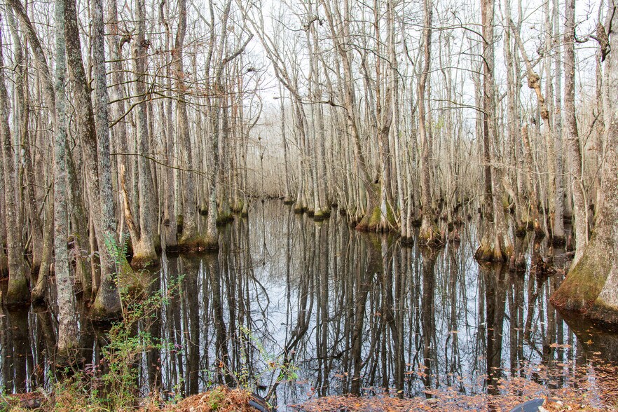 More Photos Of 409 Windward Ave, Orangeburg Land For Sale