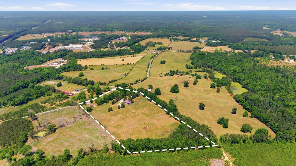 More Photos Of 1650 Dusty Rd, Newberry Winery Vineyard For Sale