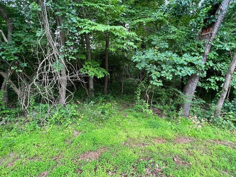 More Photos Of 6322 Hopewell Rd, The Plains Land For Sale
