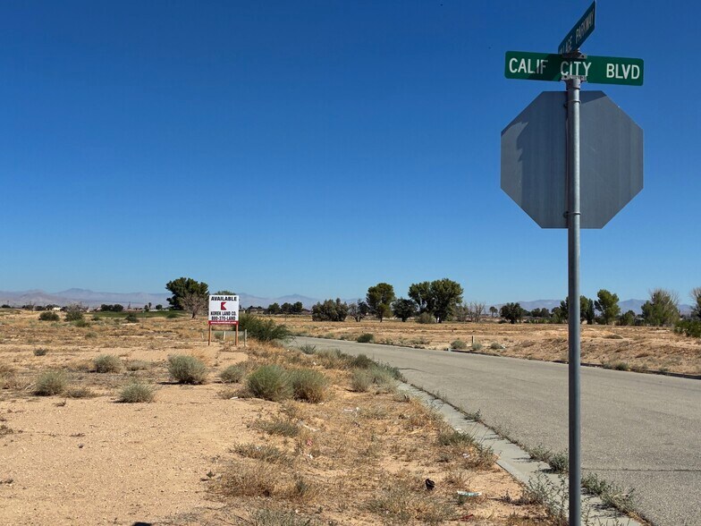 More Photos Of 21100 Hacienda Blvd, California City Land For Sale