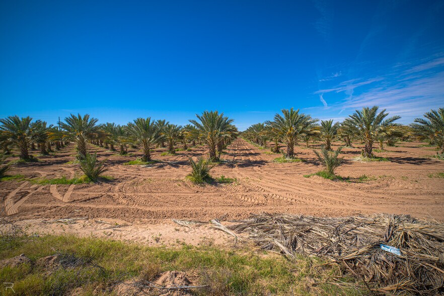 More Photos Of 17587 S Ave 3 1/2 E, Yuma Land For Sale