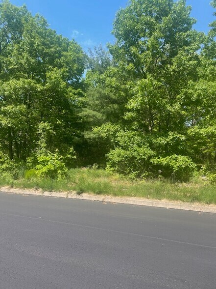 More Photos Of 0 Saginaw St, Scranton Land For Sale