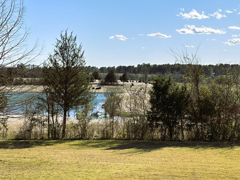 More Photos Of 231 Hostetter Rd, New Waverly Land For Sale