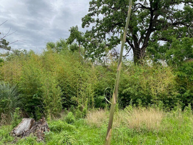 More Photos Of 6 Briar Dale Ct, Houston Land For Sale