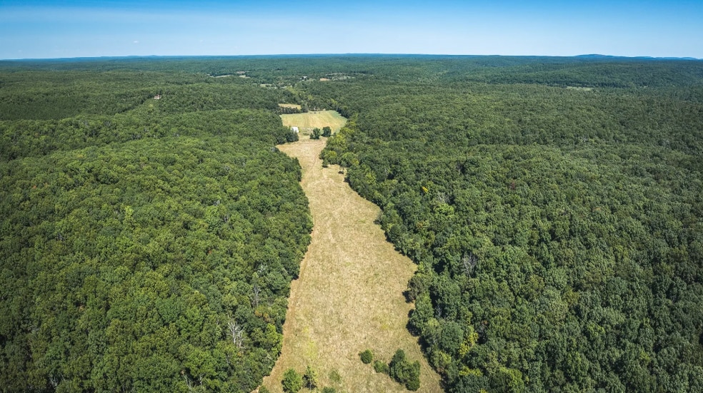 Primary Photo Of 4263 County Road 1, Steelville Land For Sale