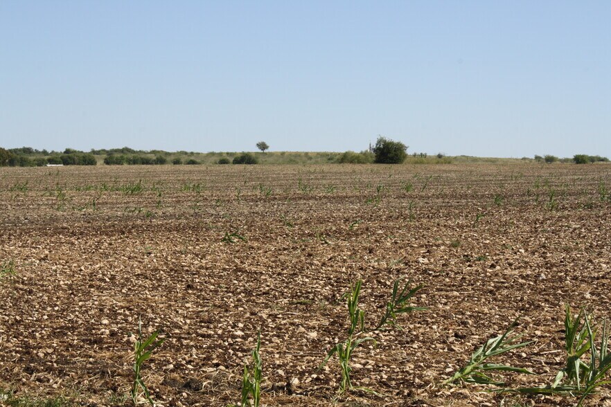 More Photos Of 250 County Road 216, Jarrell Land For Sale