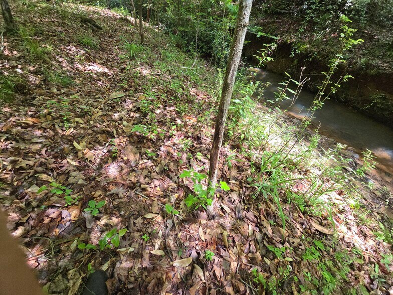More Photos Of Davis Lake Rd @ Old Talbotton Rd, Thomaston Land For Sale