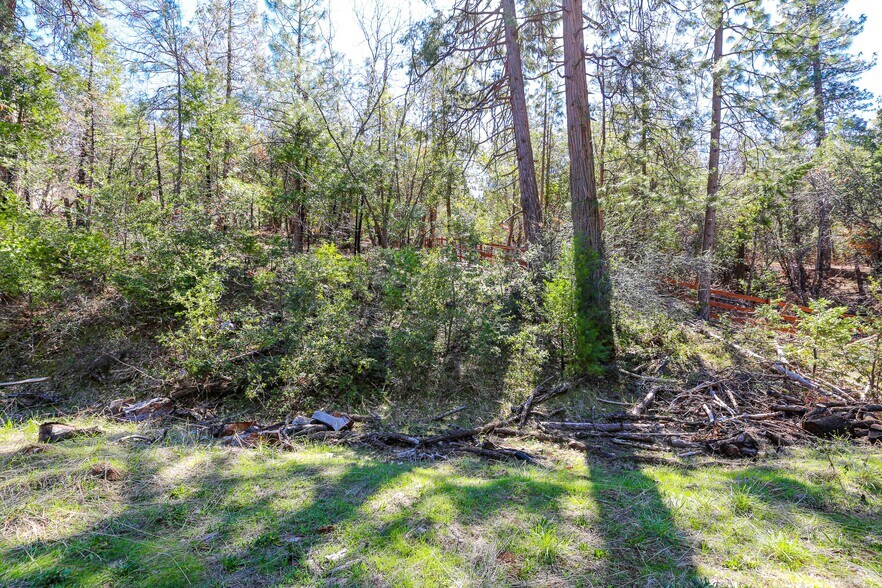 More Photos Of 4610 E HIGHWAY 4, Murphys Land For Sale