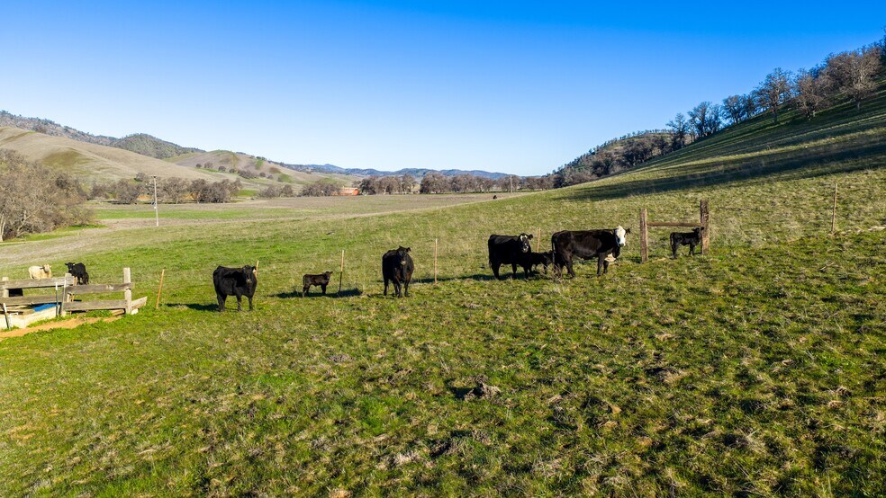 More Photos Of 3546 Huffmaster rd, Stonyford Land For Sale