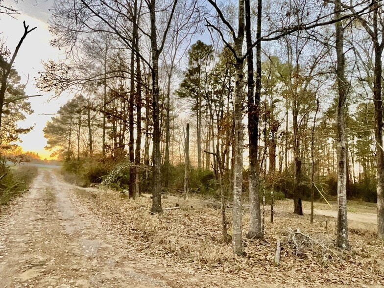 More Photos Of 2232 Medford Loop, Lufkin Land For Sale
