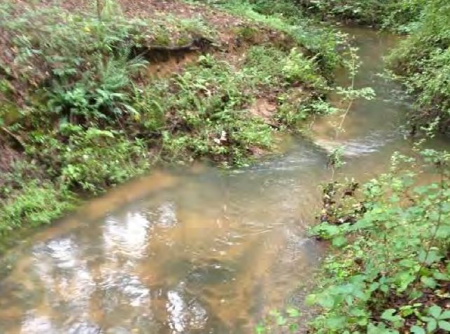 More Photos Of 1600 Klondike Rd, Conyers Land For Sale
