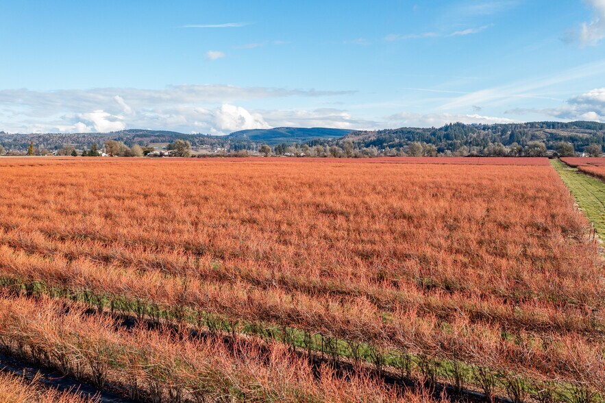 More Photos Of 78384 Collins Rd, Clatskanie Land For Sale