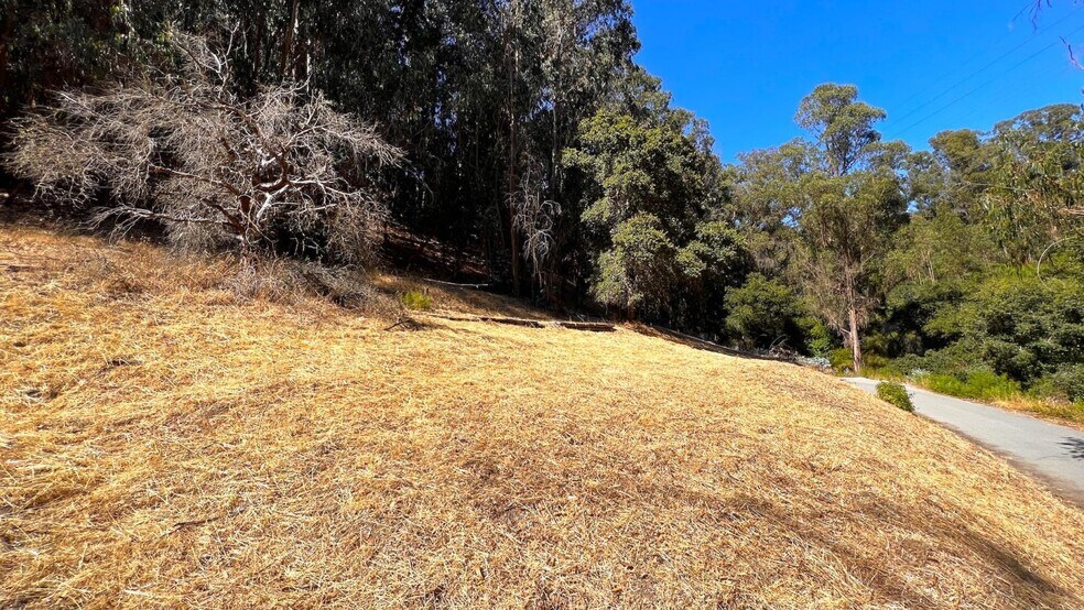 More Photos Of 00 Lupine Lane, Santa Cruz Land For Sale