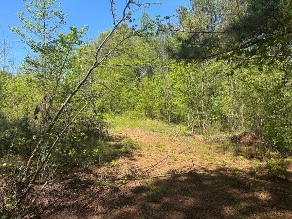 More Photos Of 0 S Sauty Rd, Langston Land For Sale