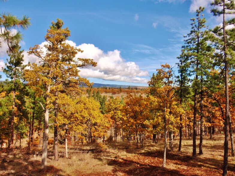 More Photos Of 94 Big Springs Rd, Goldendale Land For Sale