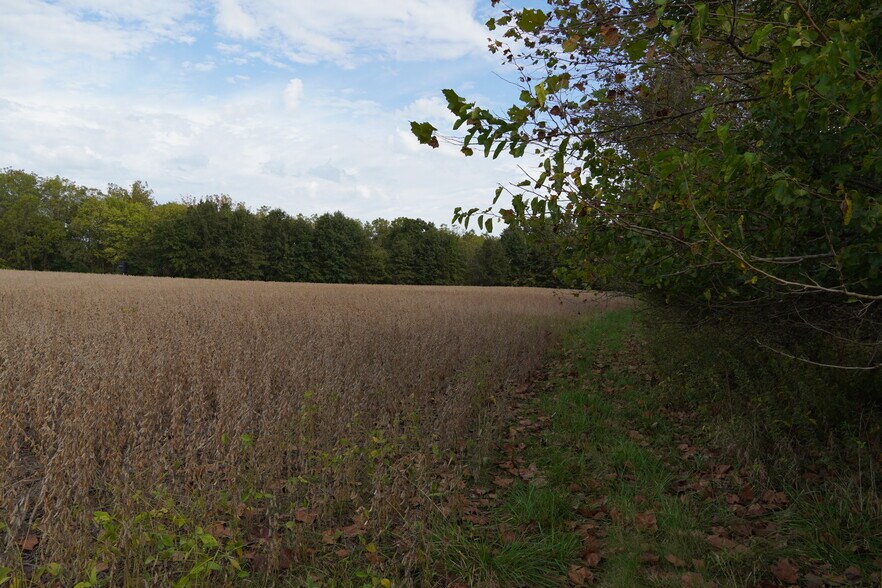 More Photos Of 22413 Highway C, Lawson Specialty For Sale