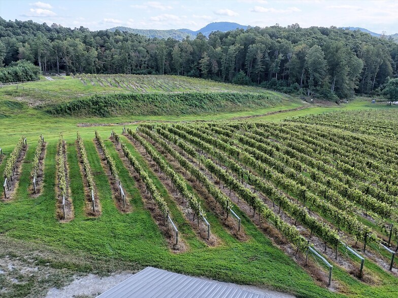 More Photos Of 781 Payne dr, Zirconia Land For Sale