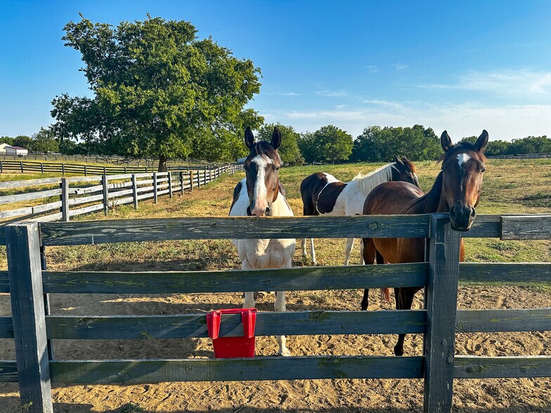 More Photos Of 5871 Roper Rd, Sperry Land For Sale