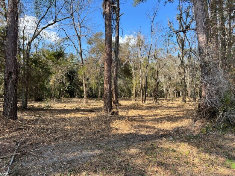 More Photos Of 3855 Darien Hwy, Brunswick Land For Sale