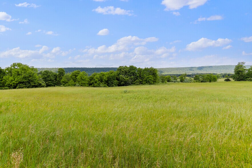 More Photos Of 3648 Dominion Rd, Gerrardstown Land For Sale