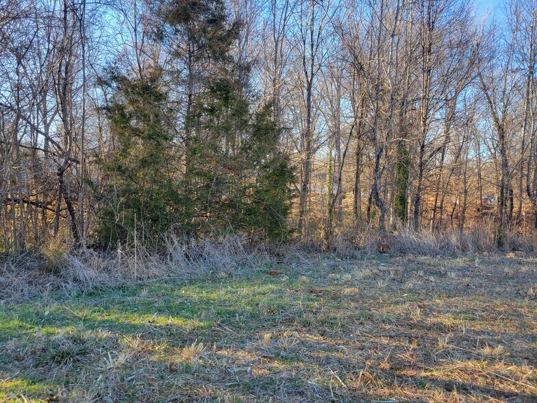 More Photos Of N First St, Mebane Land For Sale