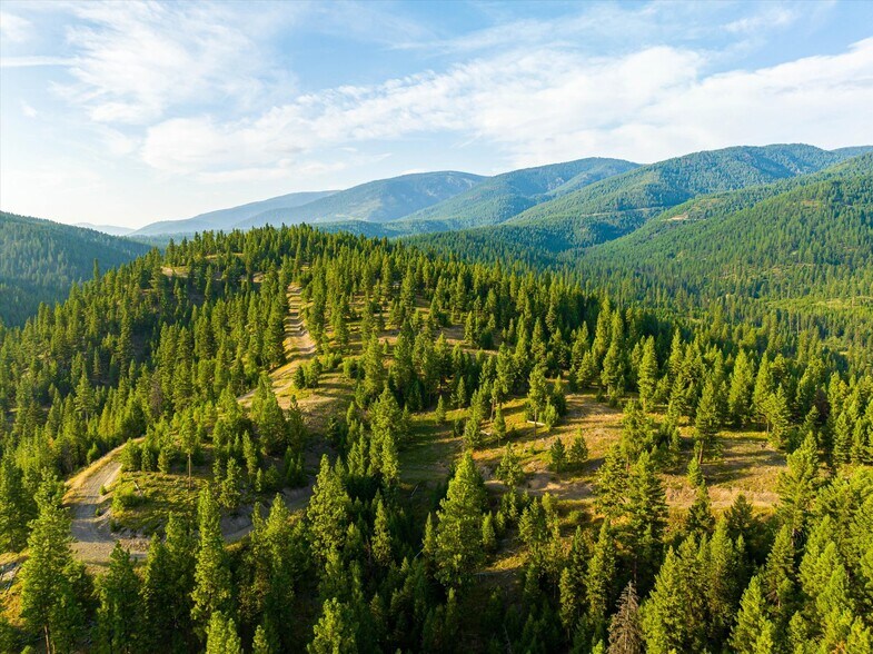 More Photos Of 7000 Graves Creek Rd, Lolo Bar For Sale