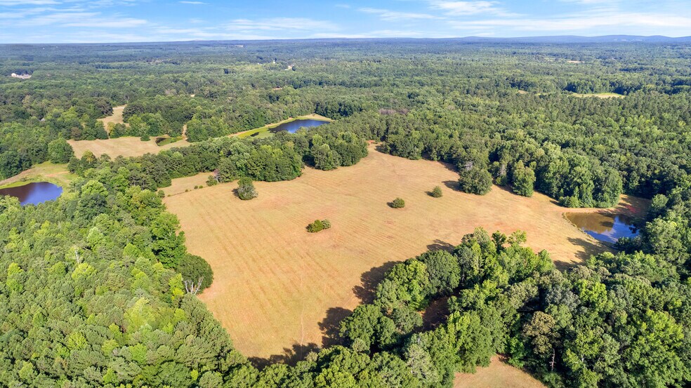 Primary Photo Of 4091 Hollonville Rd, Williamson Land For Sale