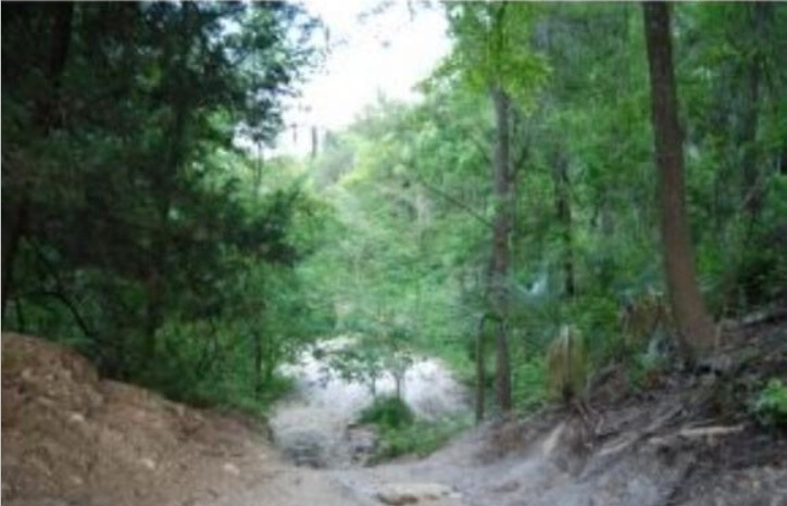 More Photos Of 6849 NW Gainesville Rd, Ocala Land For Sale