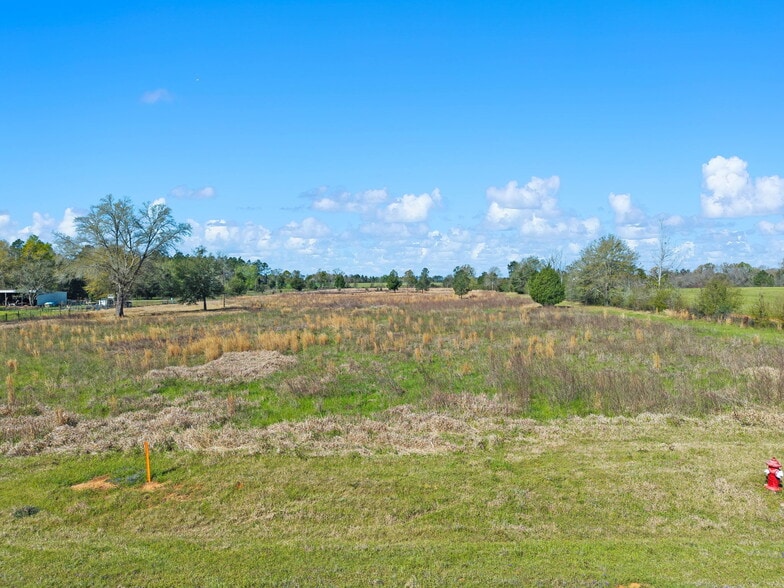 More Photos Of 33951 Lee Rd, Robertsdale Land For Sale