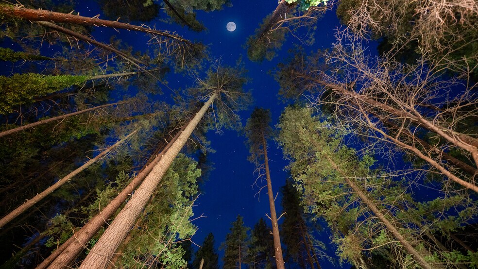 More Photos Of 9440 AZ-89A, Sedona Hotel For Sale