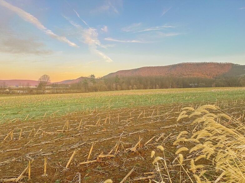 More Photos Of Heckmans Gap Rd, Mill Hall Land For Sale