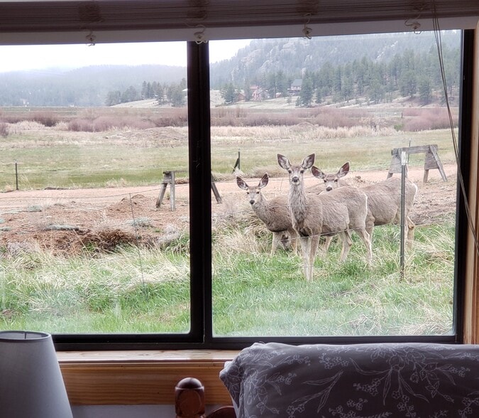 More Photos Of 8966 County Road 90, Lake George Specialty For Sale