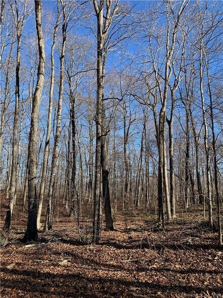 Primary Photo Of Lot 4 Killingworth Turnpike @ End of Stonewall Lane, Clinton Land For Sale