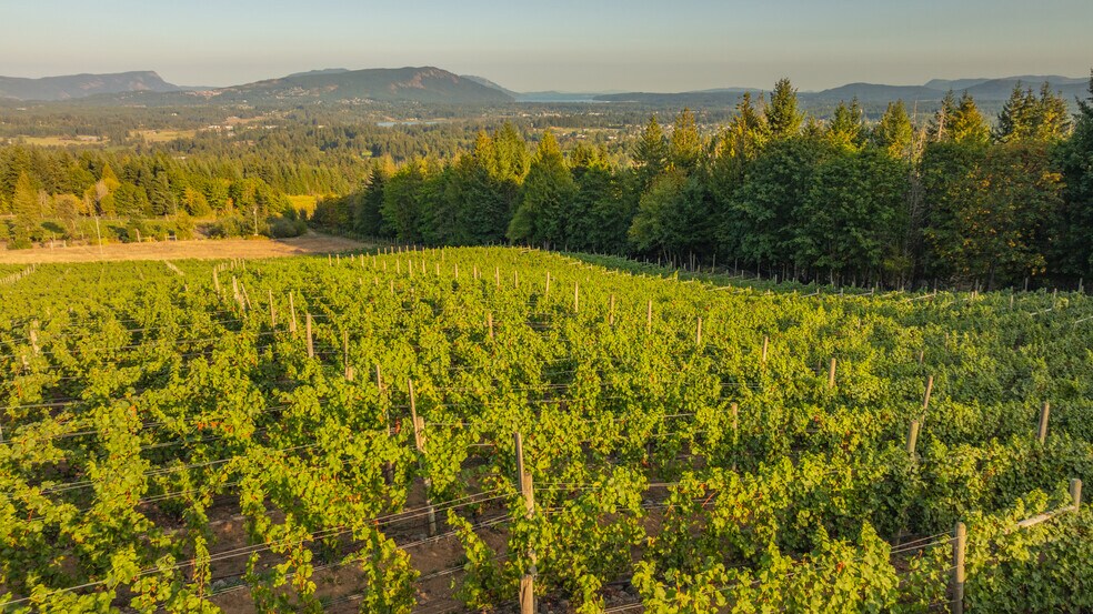 More Photos Of , Duncan Winery Vineyard For Sale