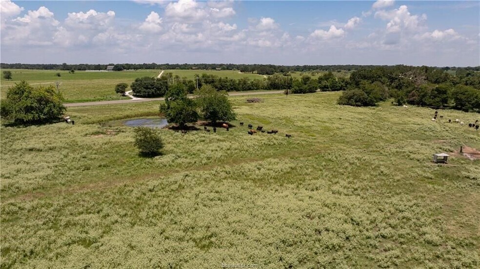 More Photos Of TBD FM 974, Bryan Land For Sale