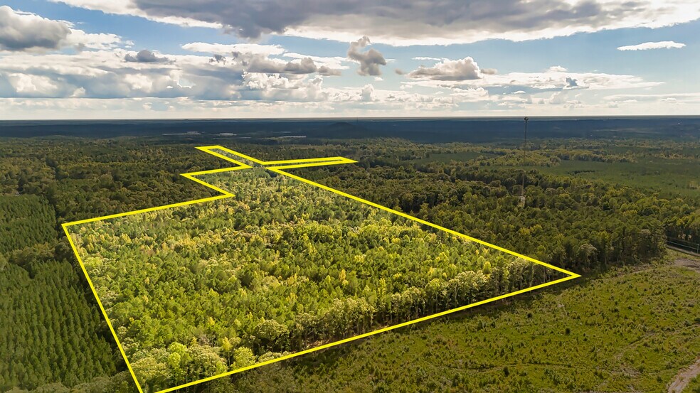 More Photos Of 3005 State Route 18, West Point Land For Sale