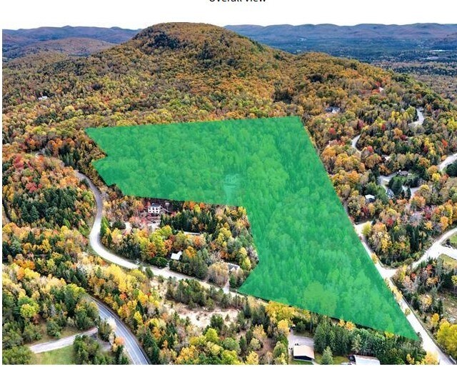 Primary Photo Of 214 Rue Terry-Fox, Mont-tremblant Land For Sale