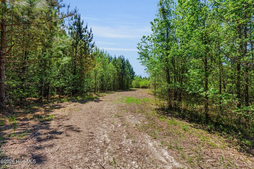More Photos Of Burton Farm rd, Arapahoe Land For Sale