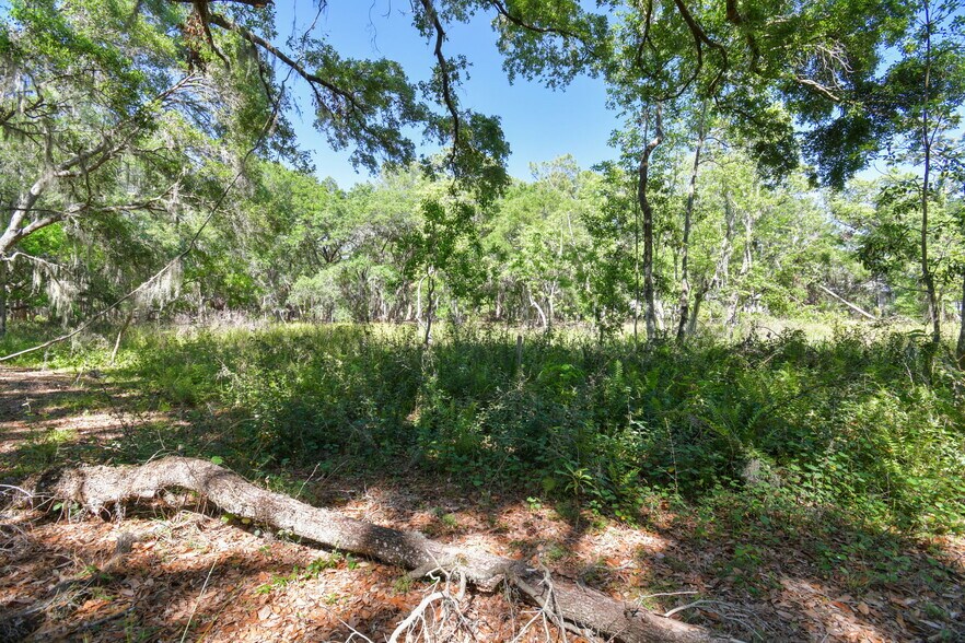 More Photos Of 903 Knowles Rd, Brandon Land For Sale