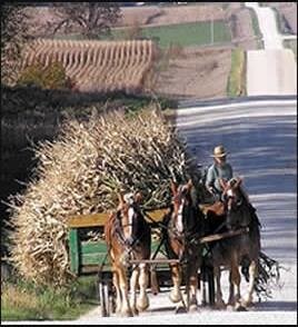 Primary Photo Of 525 Main Ave N, Harmony Hotel For Sale